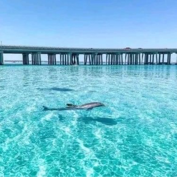 OPEN ME‼️ My Happy Place is in Florida & Making Sales on Poshmark! - Picture 6 of 14